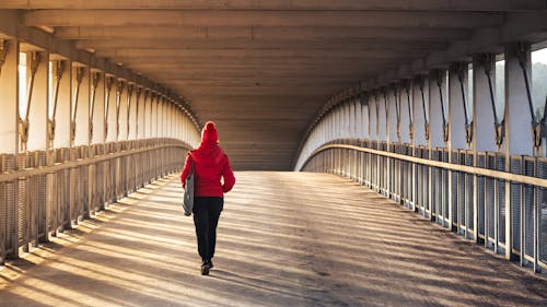Kostnadsfri bild av bro, gående, kvinna