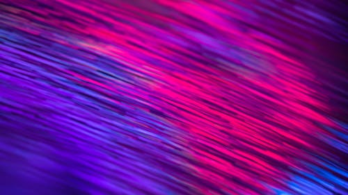 Close up of Pink and Purple Lights