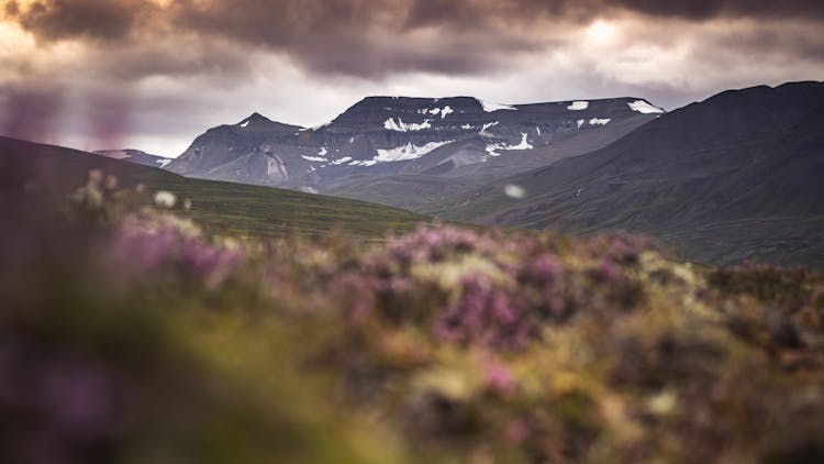 Majestic Mountain Landscape