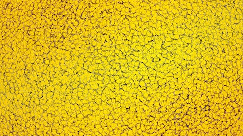 Yellow Natural Pattern