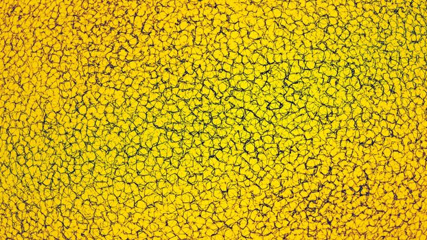 Vibrant yellow cracked earth pattern texture for artistic and abstract designs.