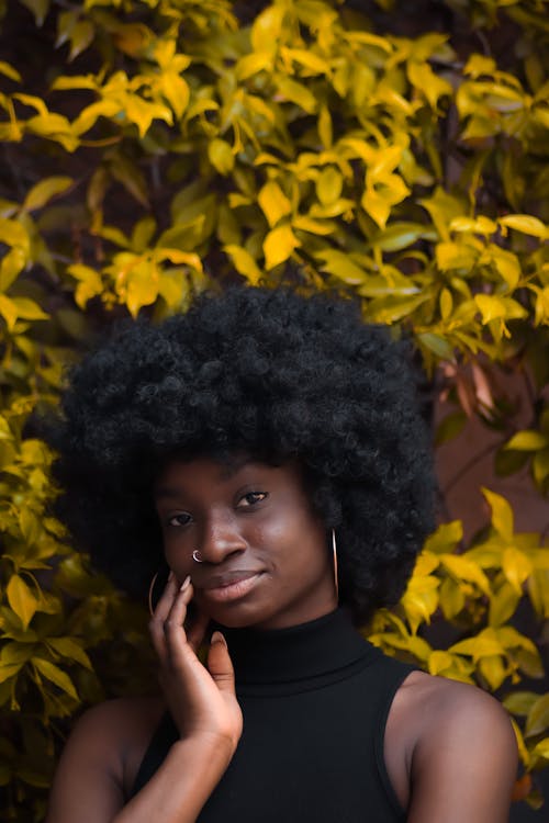 Fotobanka s bezplatnými fotkami na tému afro vlasy, černoška, človek