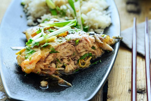 Free Plated Fish Dish in Close-up Shot Stock Photo