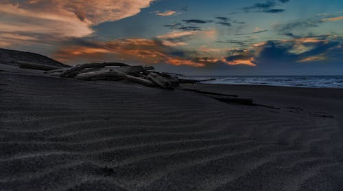Free stock photo of driftwood, sand dune, sunset