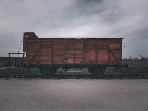 Бесплатное стоковое фото с вагон, груз, деревянный