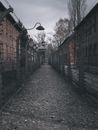 Black Street Light on Gray Concrete Brick Floor