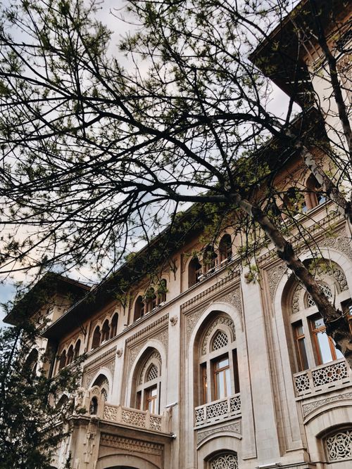 Free Low-angle shot of a historic building with ornate gothic architecture framed by tree branches. Stock Photo
