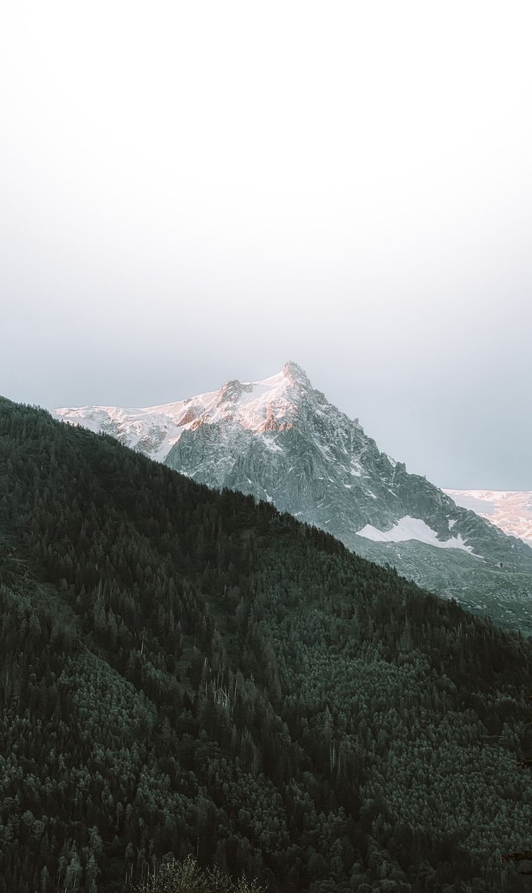 Scenic view of a snow-capped mountain peak in Chamonix, France, surrounded by lush forests.