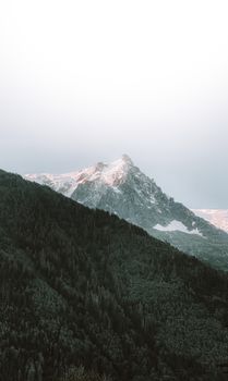 Scenic view of a snow-capped mountain peak in Chamonix, France, surrounded by lush forests.