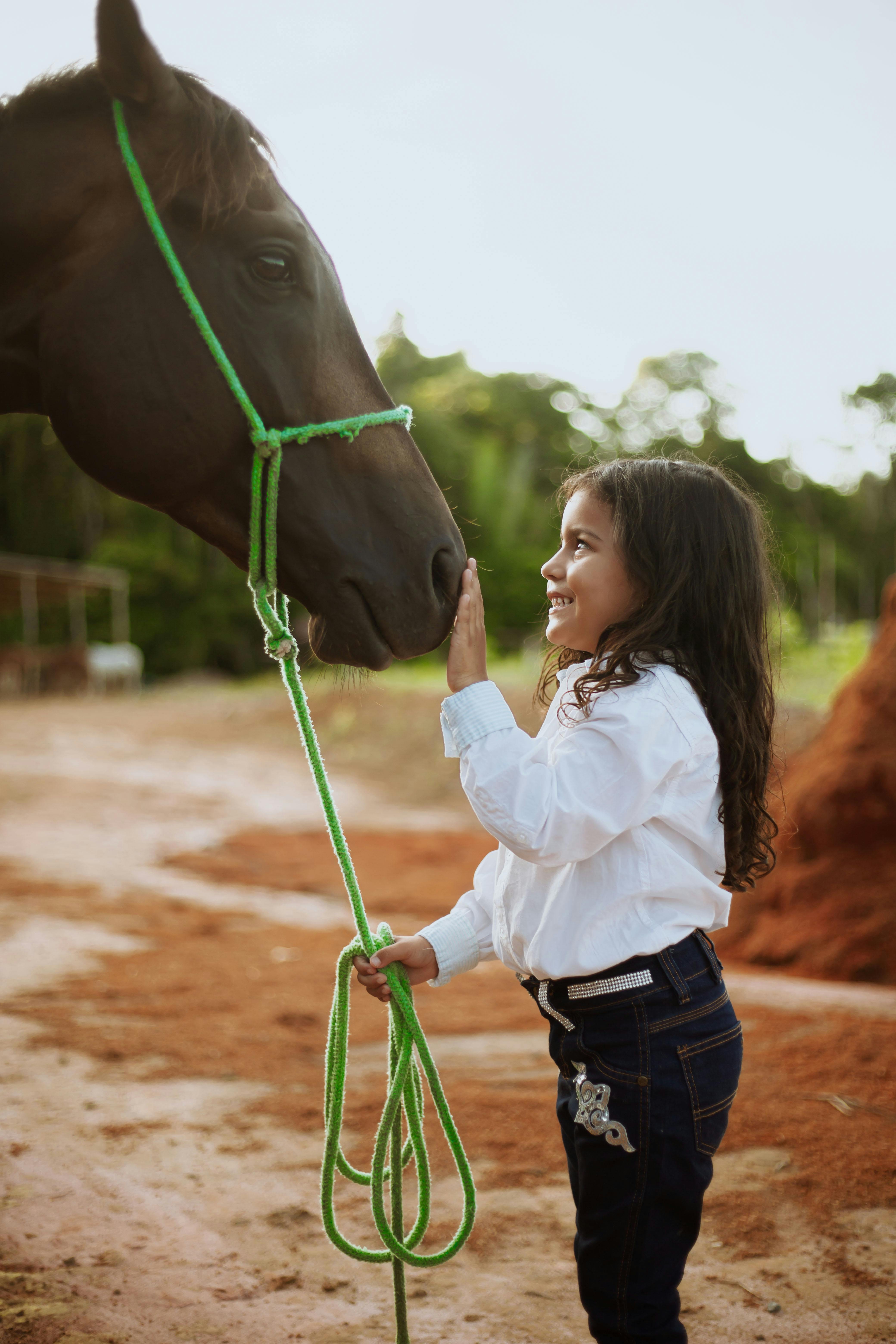 happy girl touching horse head