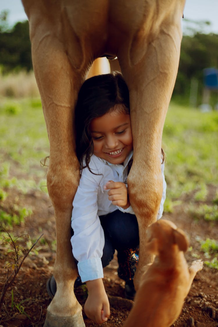 Little Girl Kneeling Between Horse Legs Playing With Dog