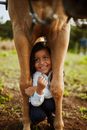 Little Girl Hiding Between Horse Legs and Laughing