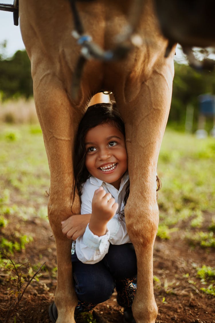 Little Girl Hiding Between Horse Legs And Laughing