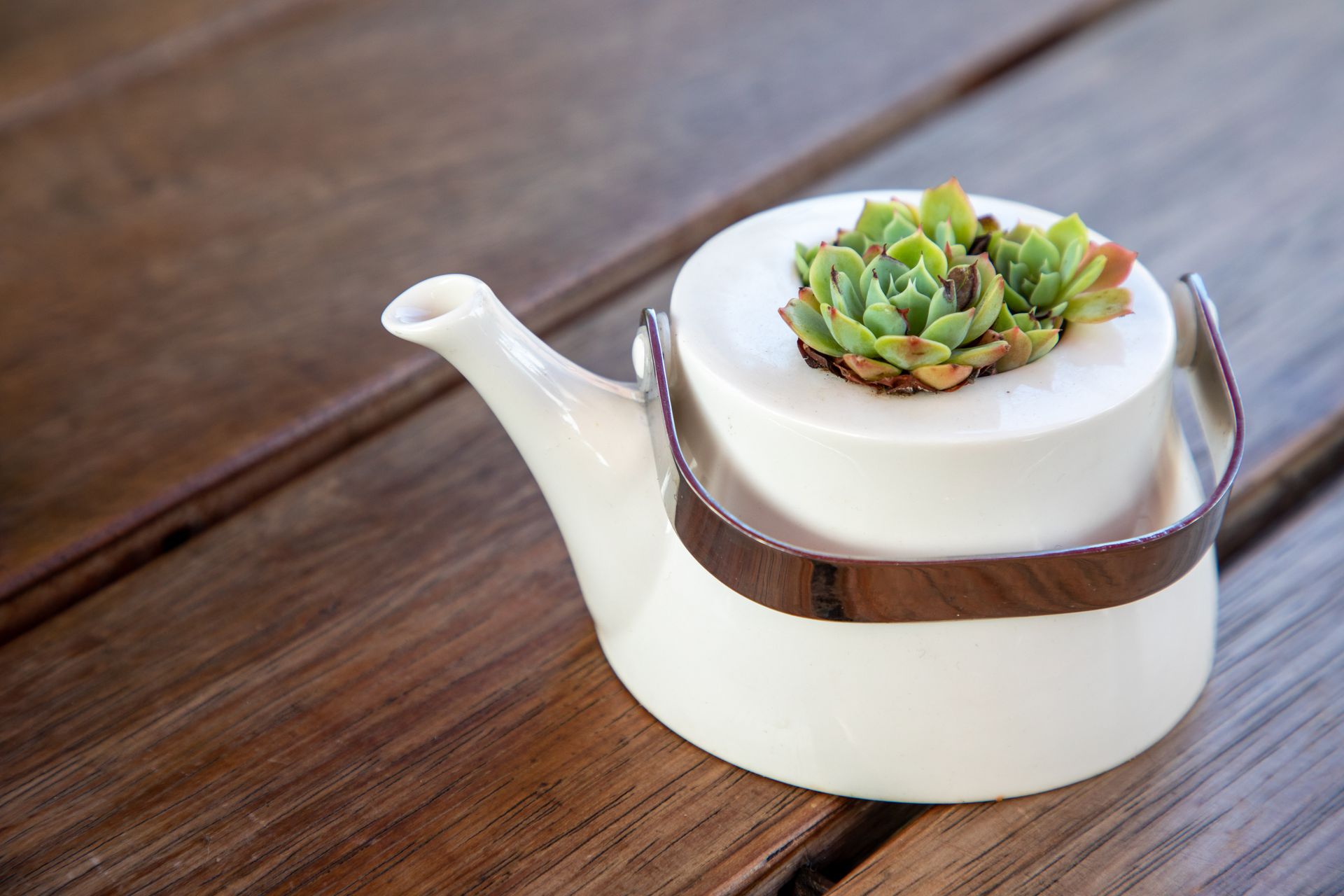 A unique arrangement of succulents in a teapot, showcasing indoor plant decor on a wooden surface.