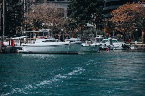 Motorboats Moored in Town