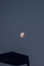 Moon Night
