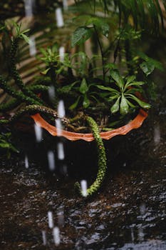 Dynamic vertical shot of vibrant green plants in a pot during rainfall.