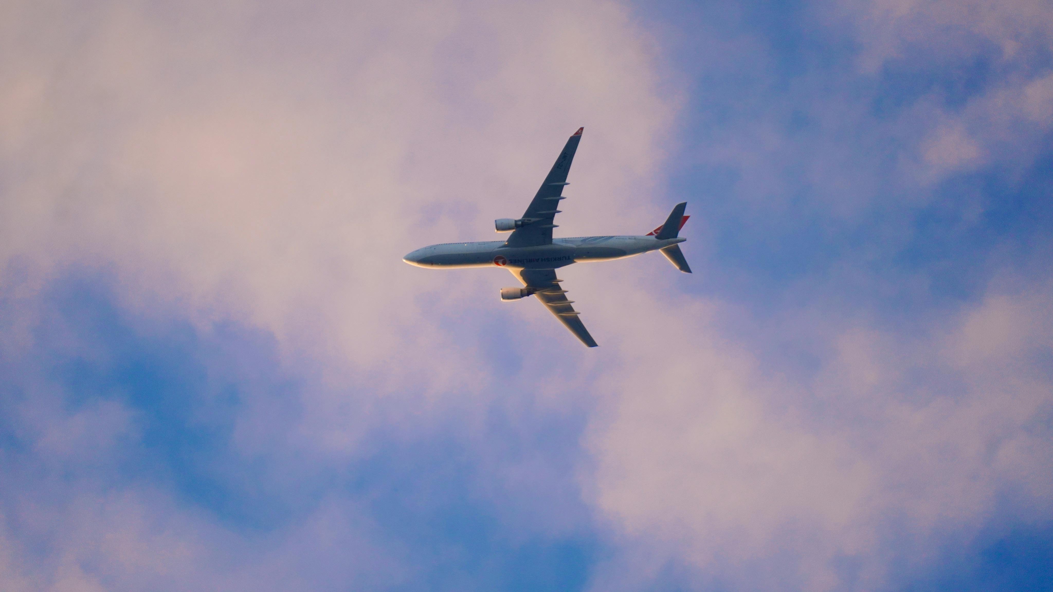 I fly 100,000 miles a year. These are my picks for best airline credit cards — Photo by Momo on Pexels