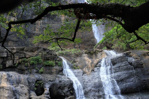 Foto d'estoc gratuïta de aigua, arbres, cascada