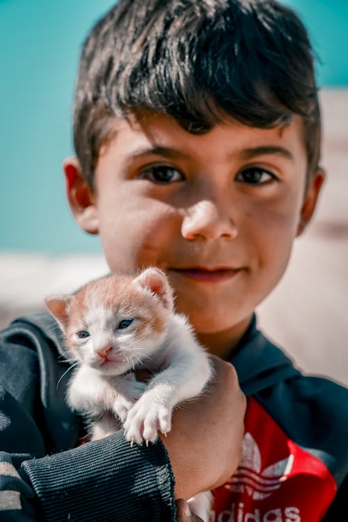 Free boy holding a cat Stock Photo