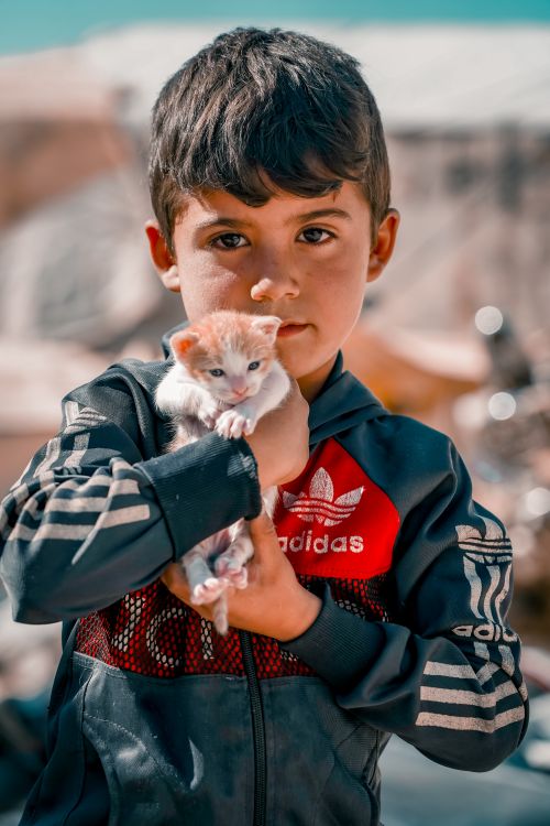 Free A young boy in Syria gently holding a kitten outdoors on a sunny day, showcasing innocence and warmth. Stock Photo