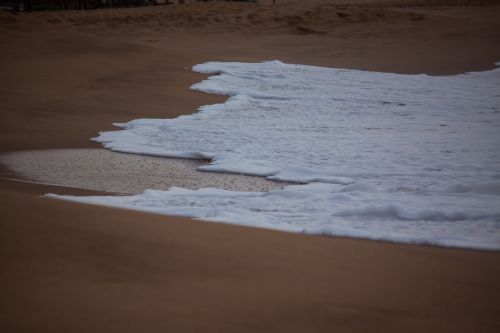Free Tranquil beach scene in Tangalle, Sri Lanka with gentle ocean waves and sandy coastline. Stock Photo