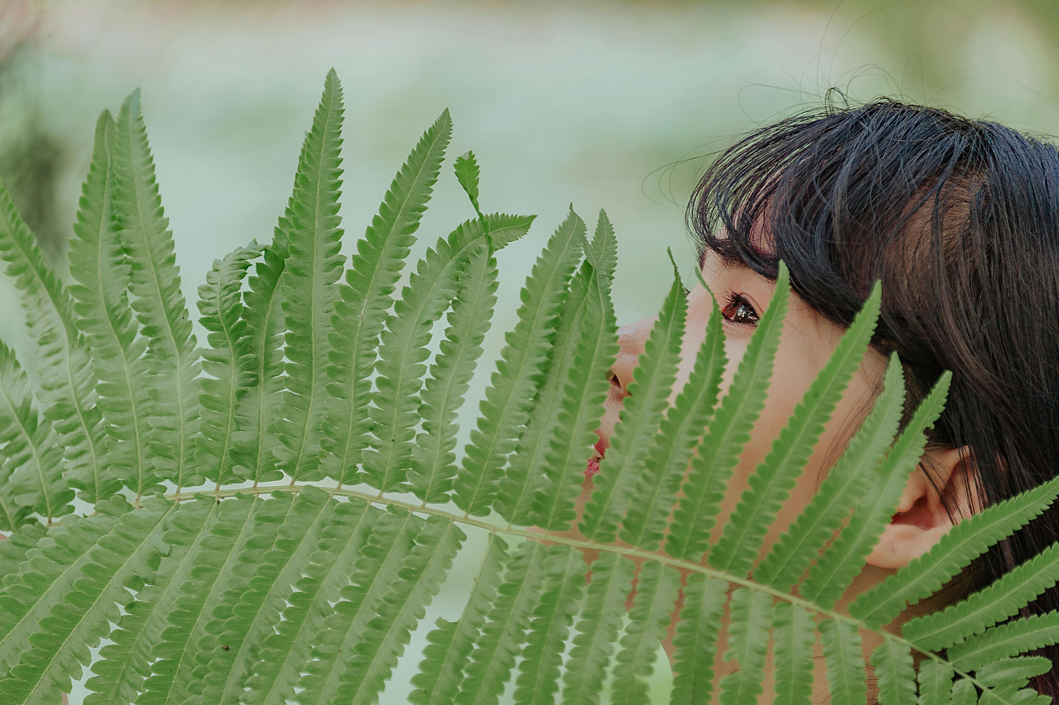 Portrait of a woman hiding behind vibrant green fern leaves with a soft focus background.