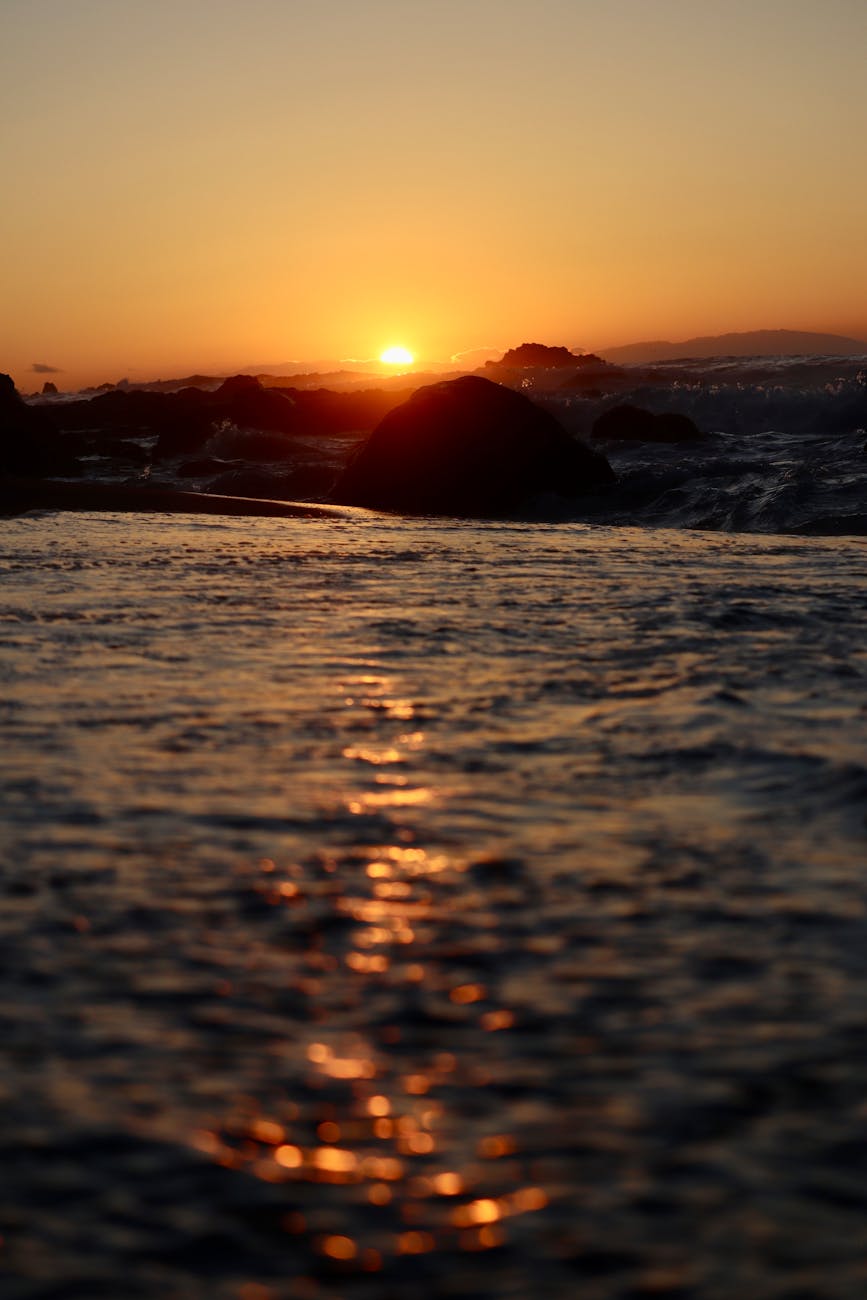 Radiance of the Seas Kake