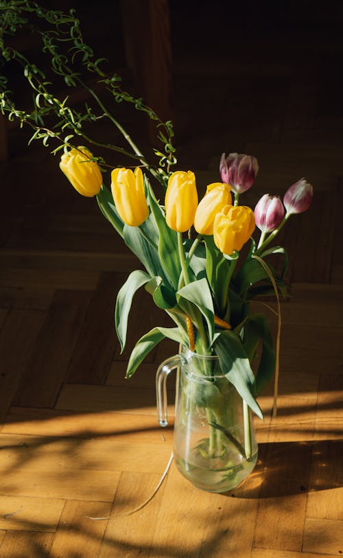 Gratis stockfoto met bloeien, bloeiend, bloemen