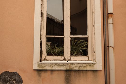 Rustic wooden window with peeling paint and plants inside, capturing vintage charm.