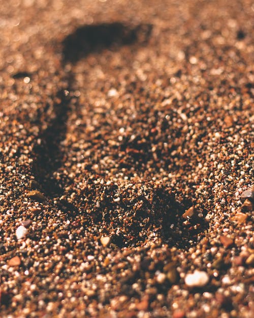 Beach Sand in Close Up