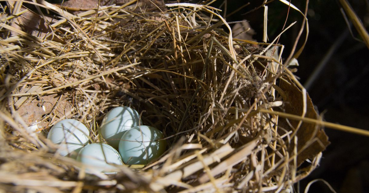 Why The 4% Rule Is Failing Retirees Today (And What I'm Doing Instead to Protect My Nest Egg)