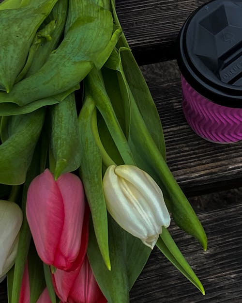 Close Up Photo of Tulips