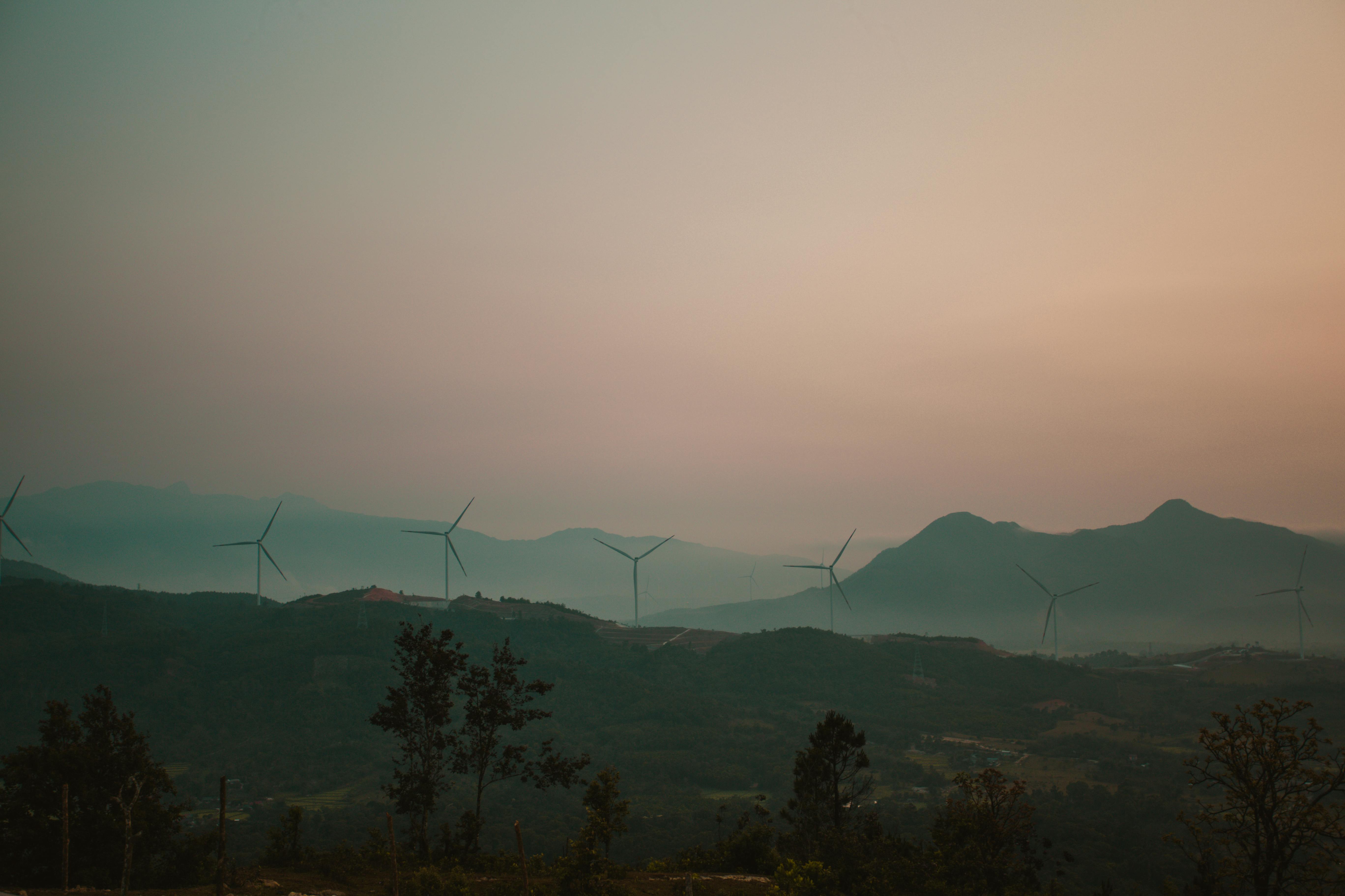 There is nothing new about renewable energy: Tracing the life of solar panels — Photo by Nguyễn Hoàng on Pexels