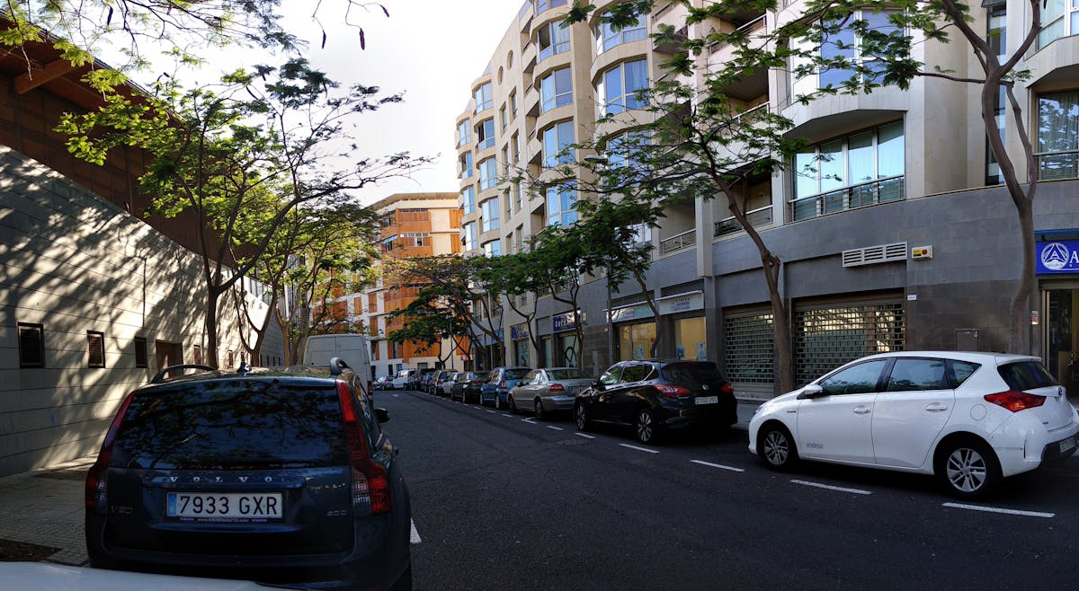A medieval knight on horseback riding through a misty field