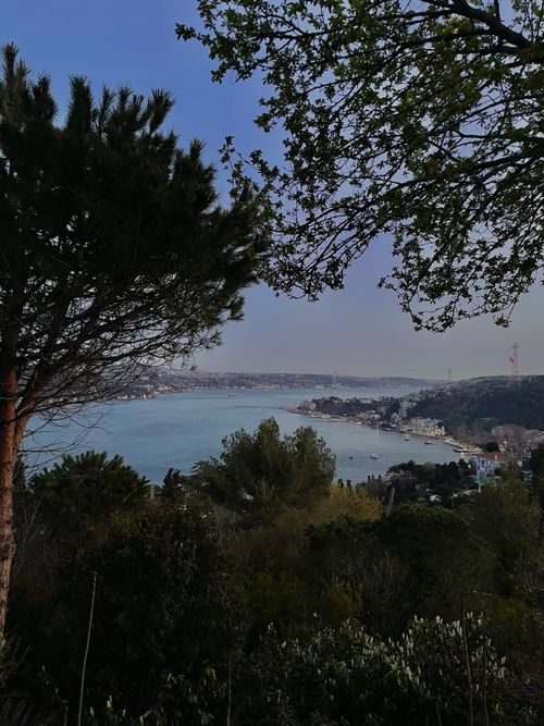 Free Breathtaking view of Bosphorus with lush greenery and blue waters in Istanbul, Turkey. Stock Photo