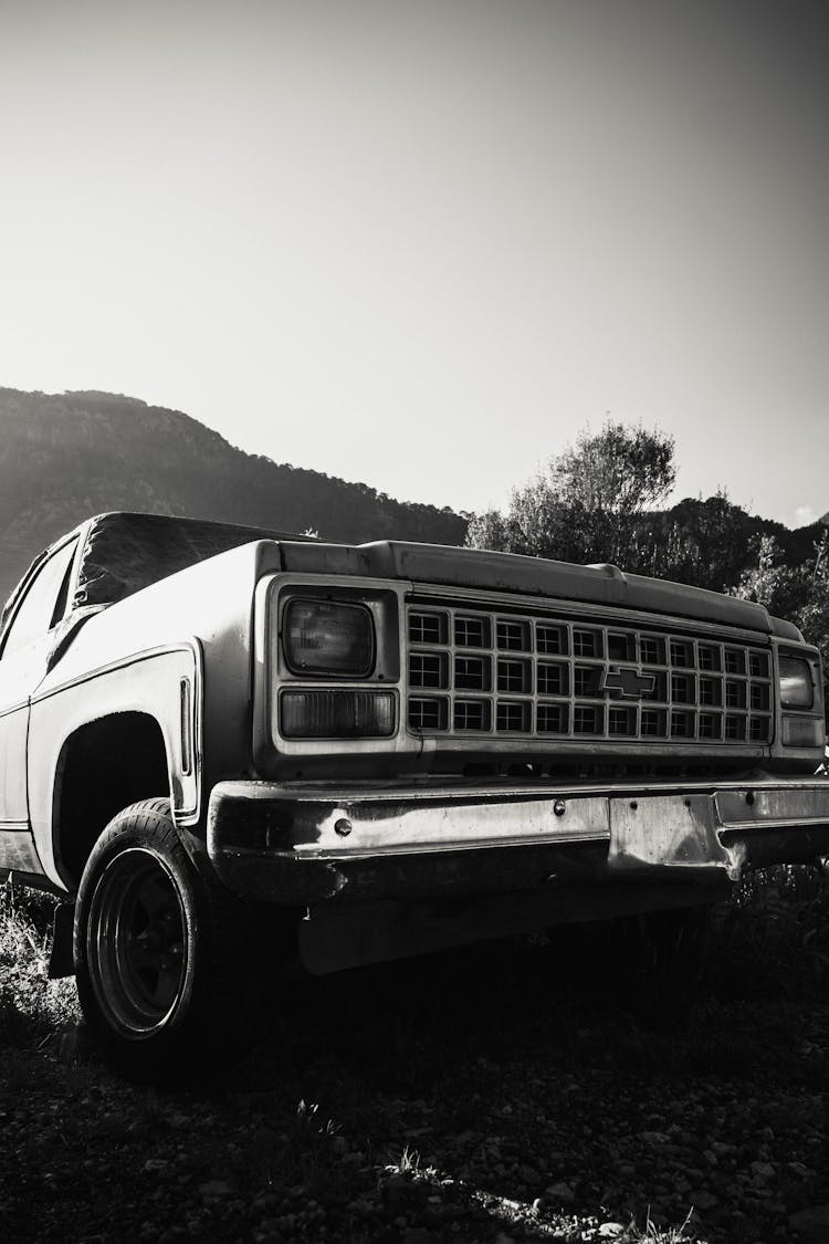 Chevrolet Pickup Truck On Grass