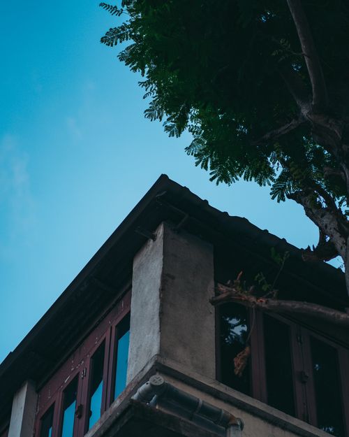 Free Low angle view of building and tree branches against a vibrant blue sky. Stock Photo