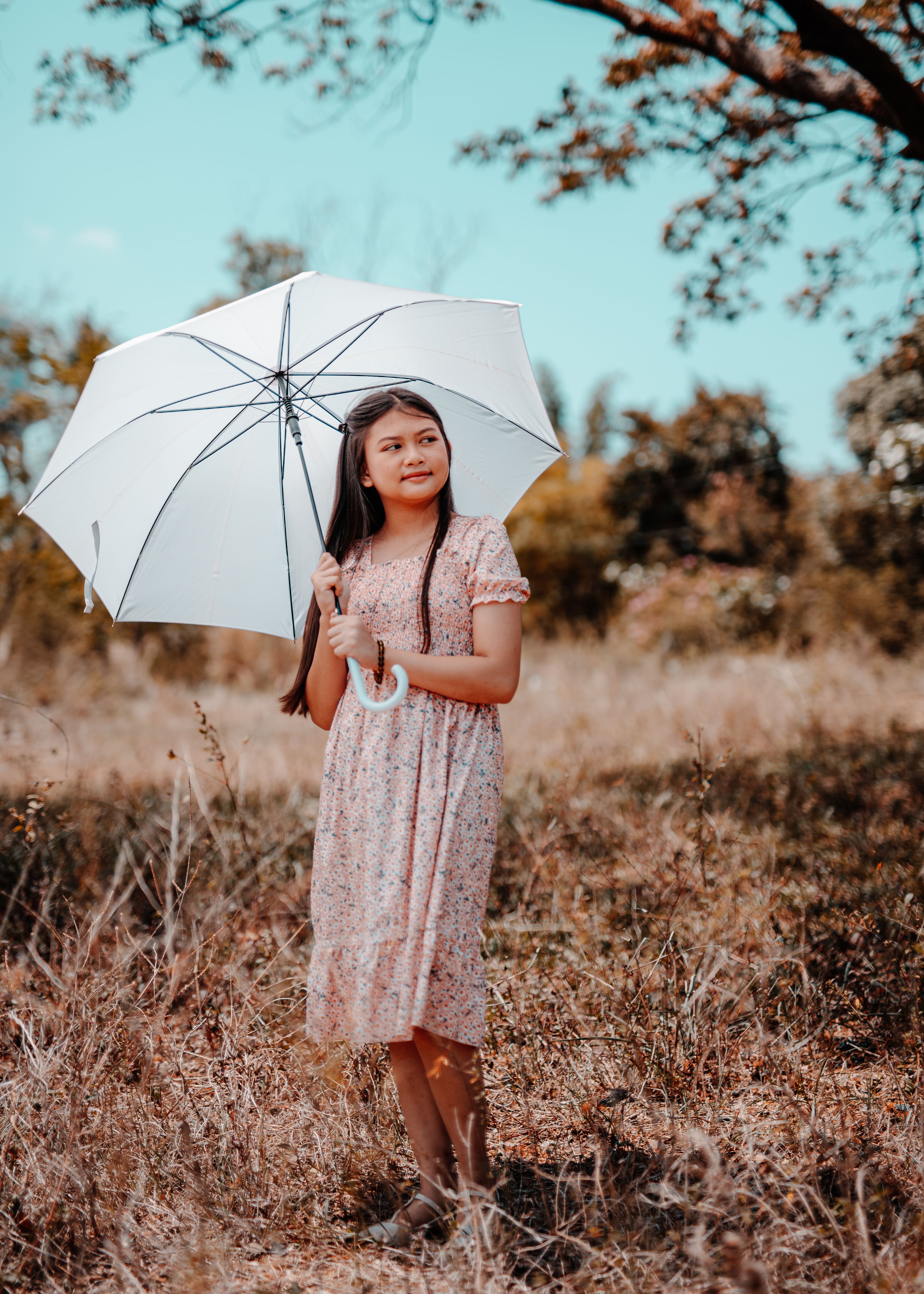 Woman in Floral Dress Holding an Umbrella · Free Stock Photo