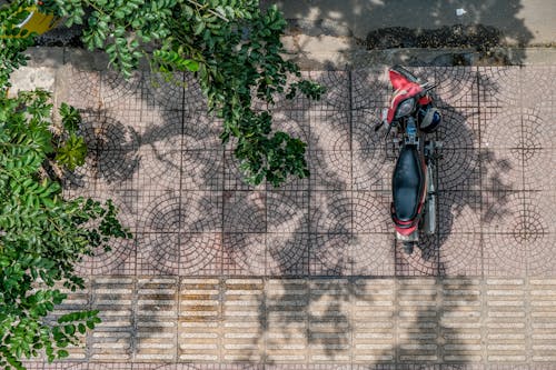 Бесплатное стоковое фото с вид сверху, дерево, мотоцикл