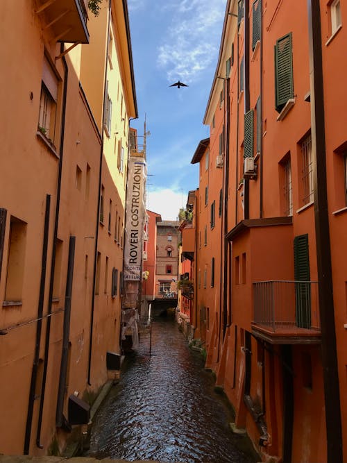 Alleyway between Concrete Buildings