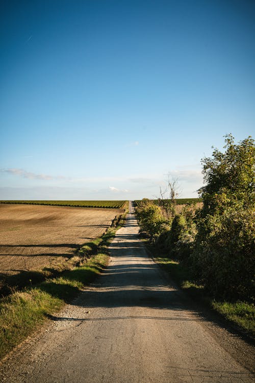 A Narrow Concrete Road