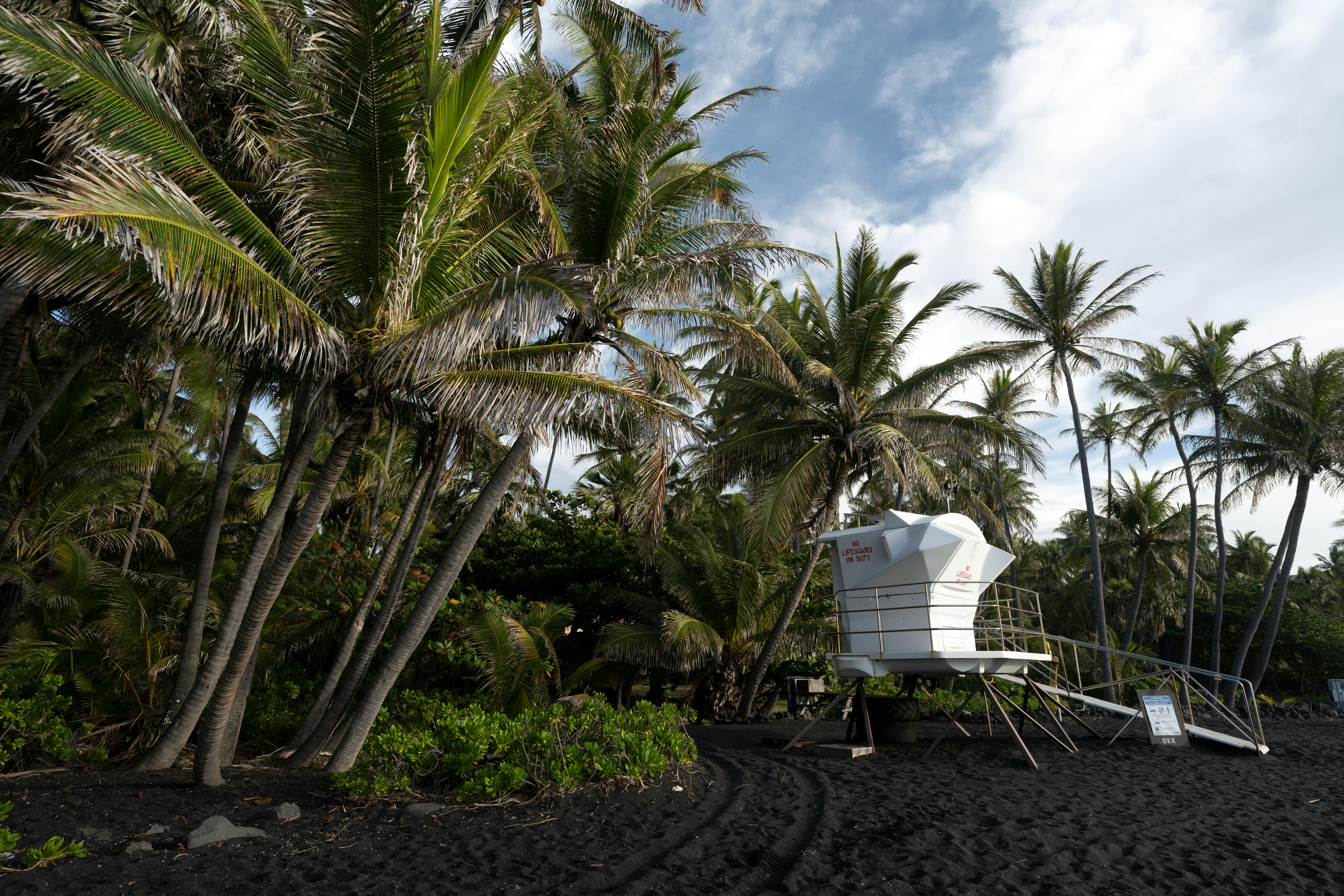 Photo by Dave Meckler