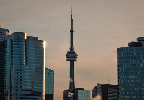 무료 CN 타워, 건물, 건축의 무료 스톡 사진