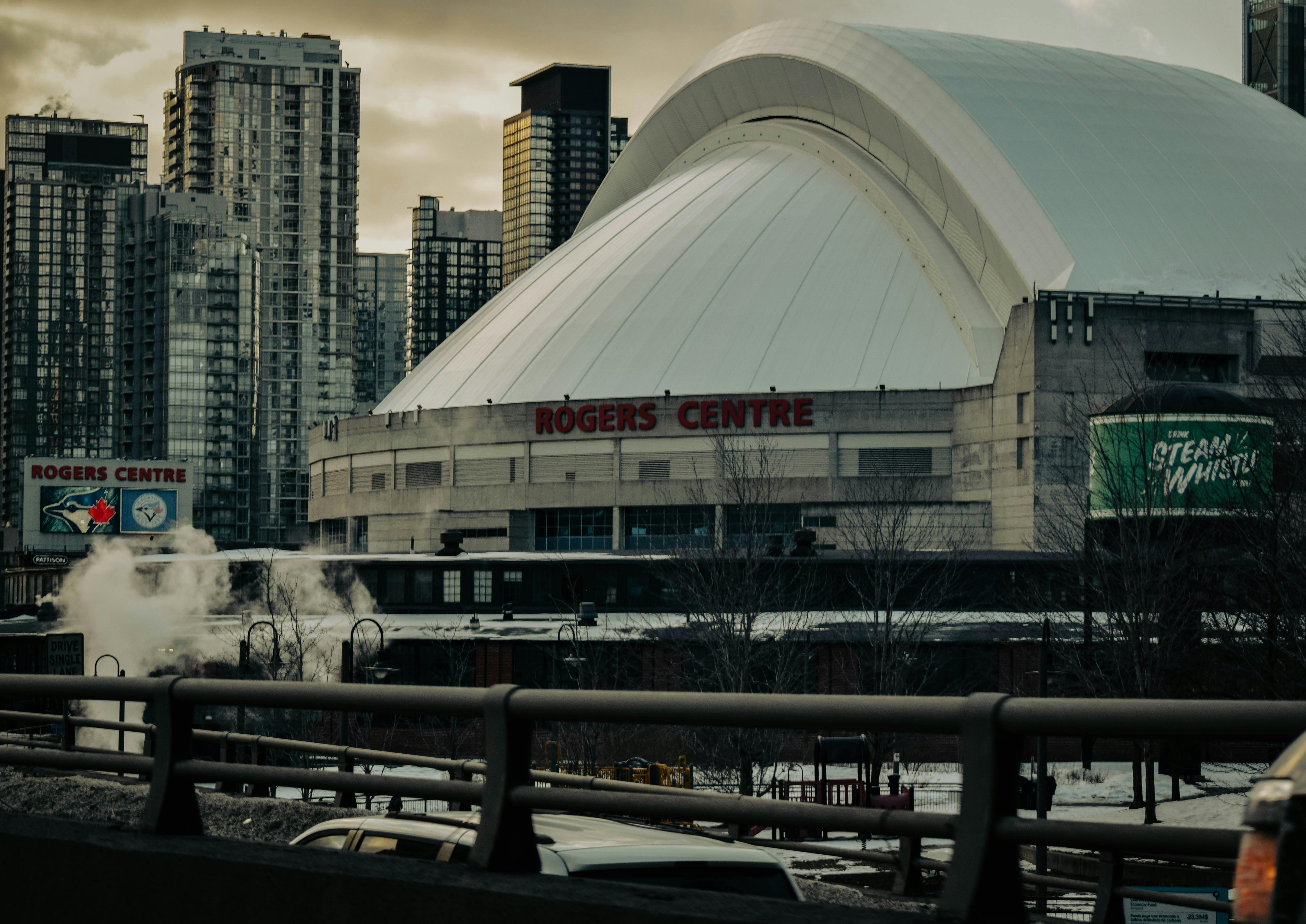 toronto blue jays bo bichette