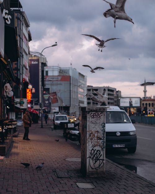 Kostenloses Stock Foto zu abend, autos, bürgersteig