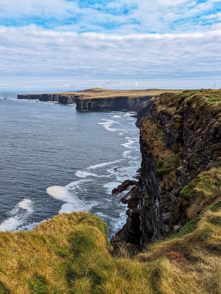 Loop Head