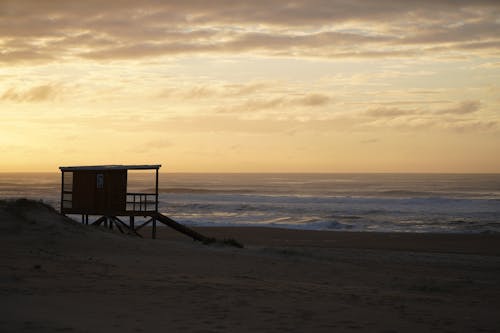 Darmowe zdjęcie z galerii z ocean atlantycki, plaża, punta del este