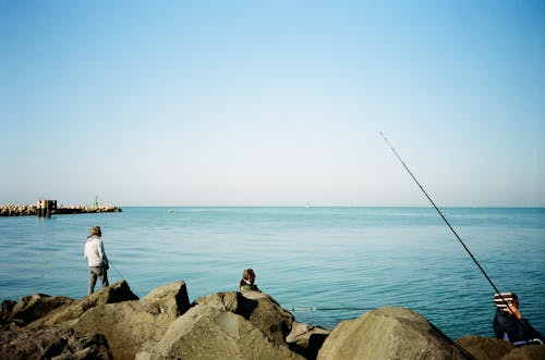 Δωρεάν στοκ φωτογραφιών με αλιεία, άνδρες, Άνθρωποι Φωτογραφία από στοκ φωτογραφιών