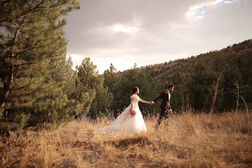 Foto profissional grátis de amor, campo, campo de grama